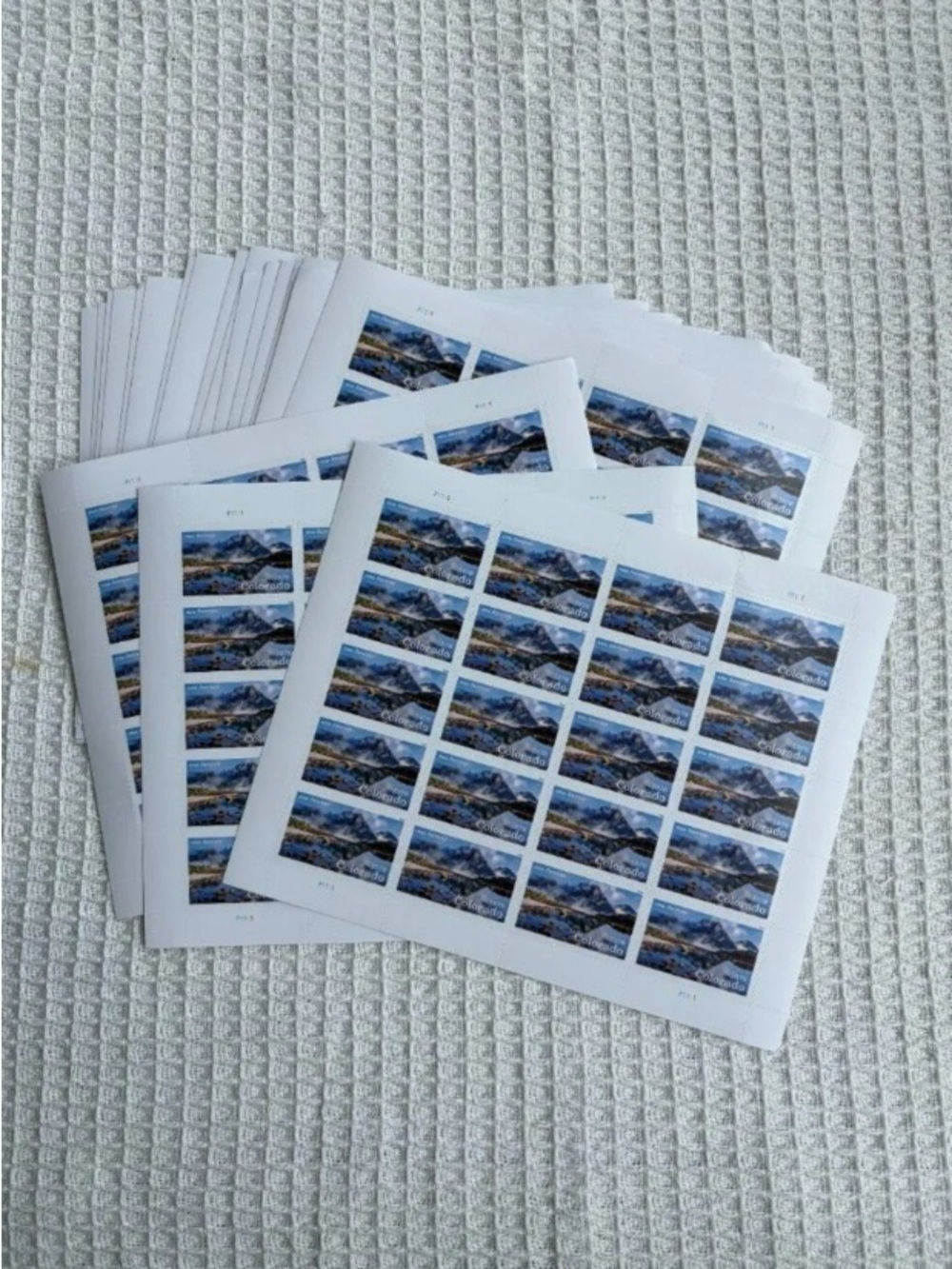 Scenic Mountain Blue Address Labels - Blank Brand